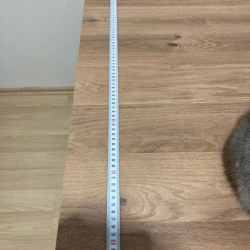 Yataş Grup Divanev Aymoke Mobilya-Toplama Ürün