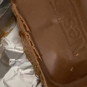 Nestle'nin İçinden Böcek Çıktı