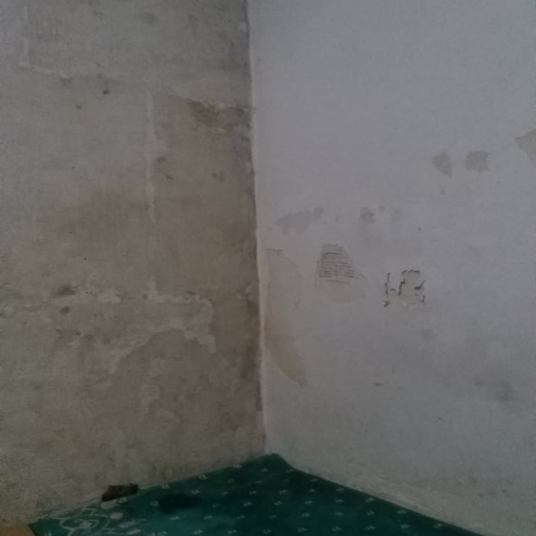 Fatih Belediyesi Ahi Çelebi Camisinin Bakımsızlığı