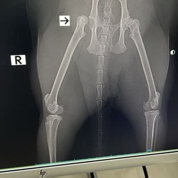 Ekvator Pet Shop & Pet Kuaför Şikayetçiyim