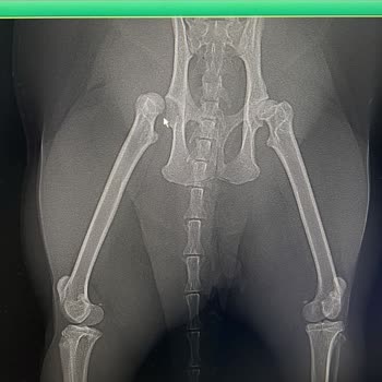 Ekvator Pet Shop & Pet Kuaför Şikayetçiyim