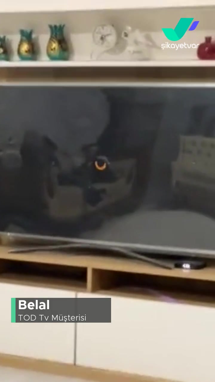 Tod TV  Uygulamasında Smart TV'den Canlı TV Kanallarını İzleyemiyoruz! videonun kapak resmi
