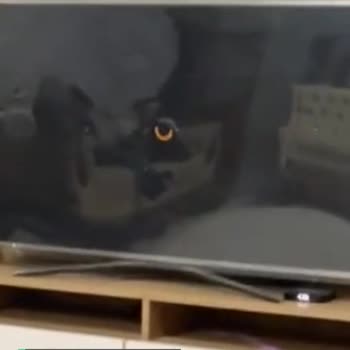 Tod TV Uygulamasında Smart TV'den Canlı TV Kanallarını İzleyemiyoruz!
