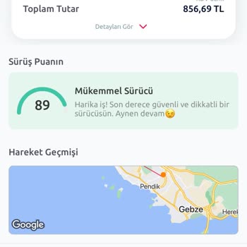 Tiktak Araç Kiralama Pişmanlıktır!