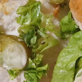 Cajun Corner Siparişimden Ölü Sinek Çıktı