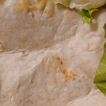 Cajun Corner Siparişimden Ölü Sinek Çıktı