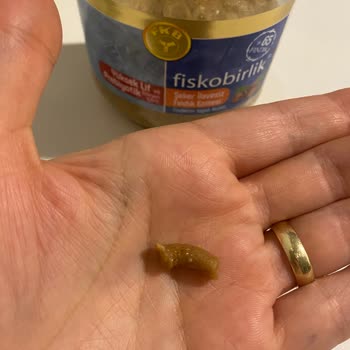 Fiskobirlik Fındık Ezmesi İçinden Bir Cisim Çıktı