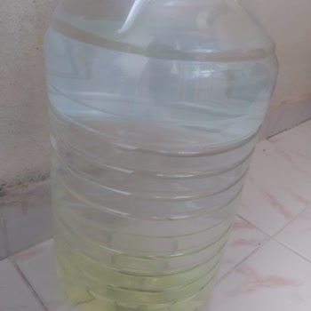 Desni Palandöken Su Yeşillenmesi