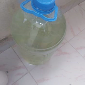 Desni Palandöken Su Yeşillenmesi