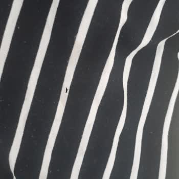 Beko Bir Dünya Markası Olmaktan Çok Geride!