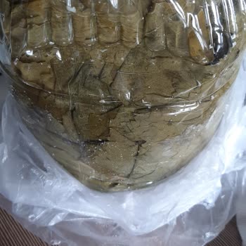 Egeden_81_ile Sayfası Yaprakları Kart, Fiyatları Kişiye Göre Değişken