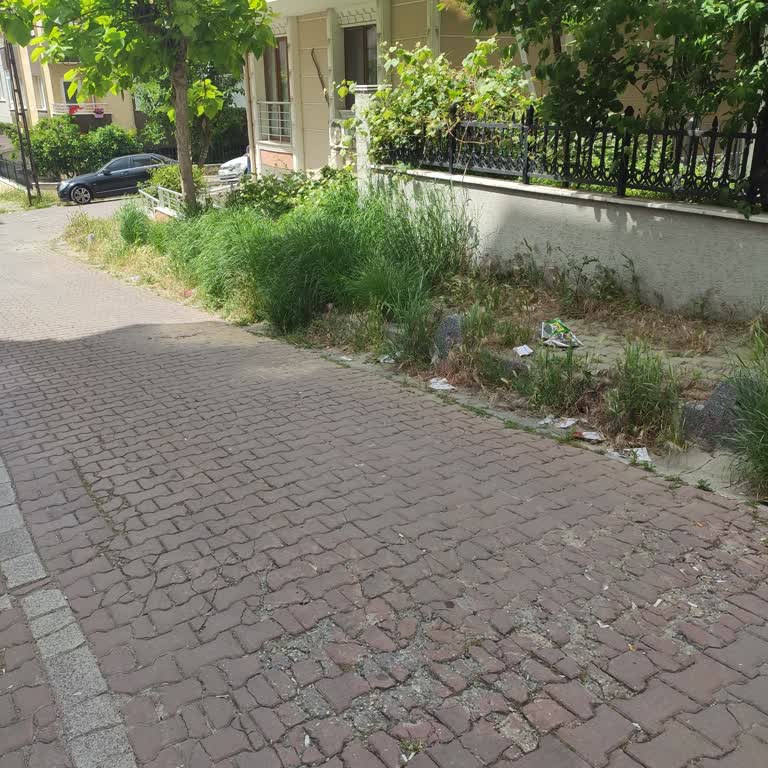 Avcılar Belediyesi Sokakları Temizlemiyor Görevini Yapmıyor
