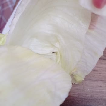 Komagene Yeşillikler Böcekli Çıktı