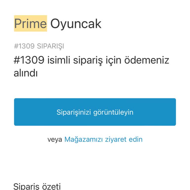 Prime Oyuncak İletişimsizlik Kargo Gecikmesi
