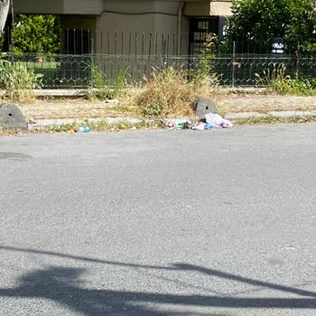 Bakırköy Belediyesi Şenlikköy Sokakları Çöp Dolu