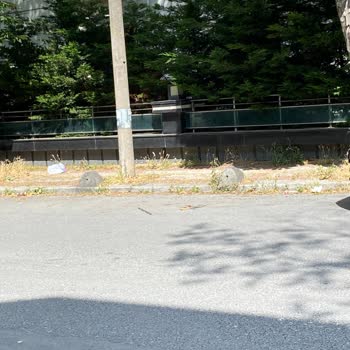 Bakırköy Belediyesi Şenlikköy Sokakları Çöp Dolu