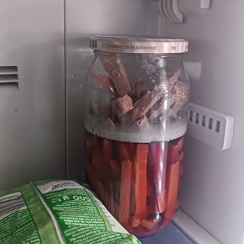 Arçelik Buzdolabı Arızası! Motor Değişimi Yaptım Sıkıntı Aynı!