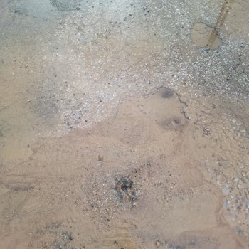 Konya Büyükşehir Belediyesi İlgilenen Kimse Yok