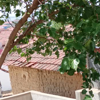 Manisa Büyükşehir Belediyesi Yolumuzu İşgal Ediyor