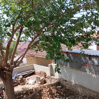 Manisa Büyükşehir Belediyesi Yolumuzu İşgal Ediyor