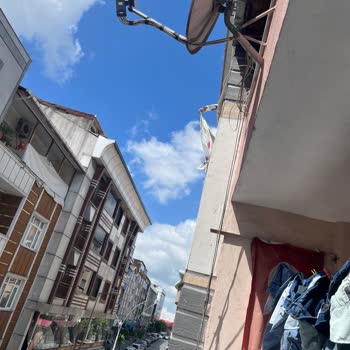 Sultangazi Belediyesi Çamaşırlarım Varken Halı Silkeliyor
