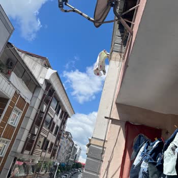 Sultangazi Belediyesi Çamaşırlarım Varken Halı Silkeliyor