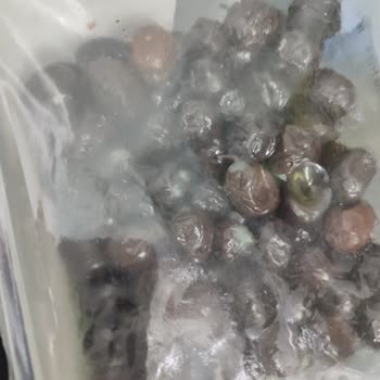 Tukaş Doğal Yağlı Sele Siyah Zeytin Küflenmiş