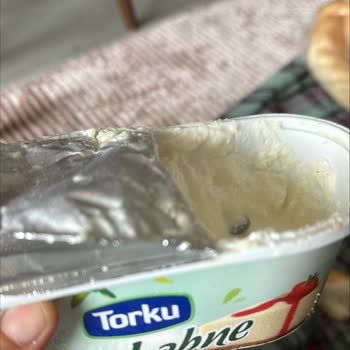 Torku Labneden Vida Çıktı