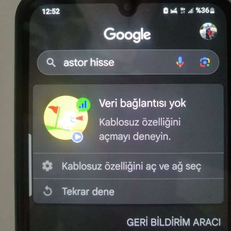 Samsung Telefon Mobil Veri Hatası