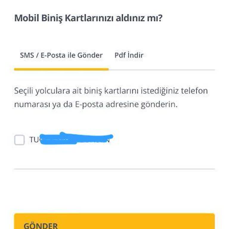 Pegasus Yurt Dışında Mağdur Etti