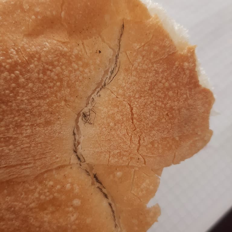 Çaldıran Merkez Ekmek Fırını Ekmeğin Üzerinde Kıllar Vardı!