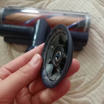 Dyson Pişmanlığı Ve Mağduriyeti
