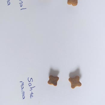 Pazarama Orijinalliği Şüpheli Kedi Maması!