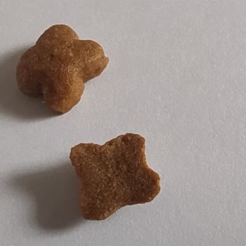 Pazarama Orijinalliği Şüpheli Kedi Maması!
