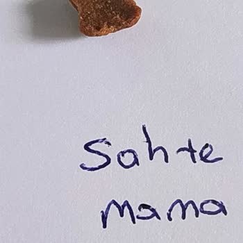Pazarama Orijinalliği Şüpheli Kedi Maması!