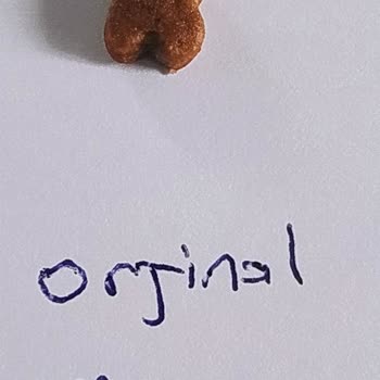 Pazarama Orijinalliği Şüpheli Kedi Maması!