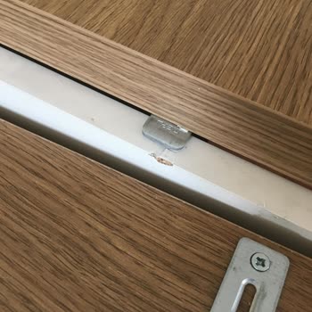 Kelebek Mobilya Servis Ve Şubede Sıkıntı