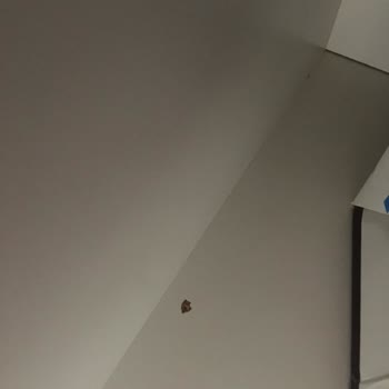 Kelebek Mobilya Servis Ve Şubede Sıkıntı