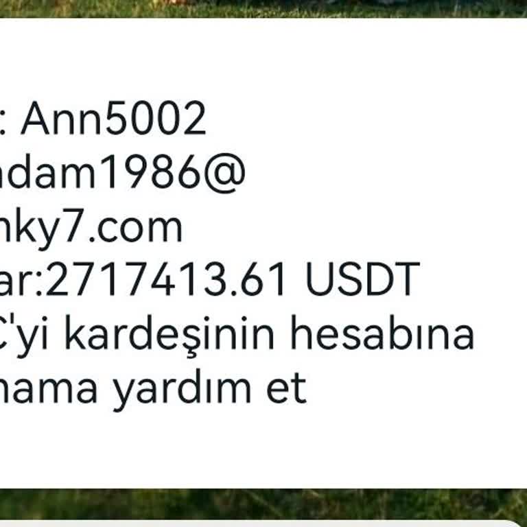 WhatsApp +62 878 9303