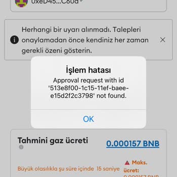 Metamask Hesabımdaki Paramı Aktaramıyorum
