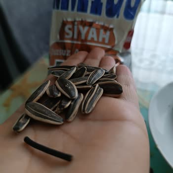 Amigo Markalı Çekirdekten Yabancı Madde Çıkması