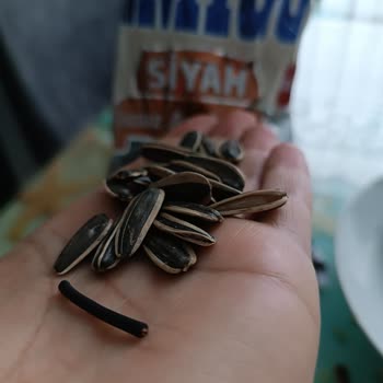 Amigo Markalı Çekirdekten Yabancı Madde Çıkması