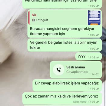 Feribotlines 1 Hafta Kaldı Hiçbir Şekilde Vize İçin Ulaşamıyoruz.
