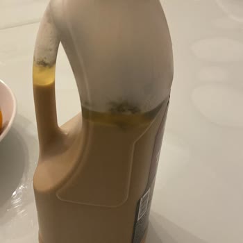 Seyidoğlu Gıda Kendiliğinden Küflenen Seyidoğlu Tahin