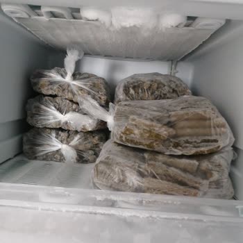Uğur Soğutma Yeni Aldığım Dolap Buzlanma Yapıyor