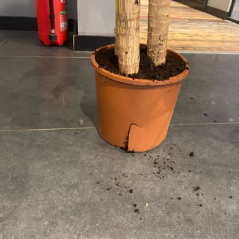 Es Plante Eksik Ürün Gönderimi