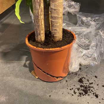 Es Plante Eksik Ürün Gönderimi