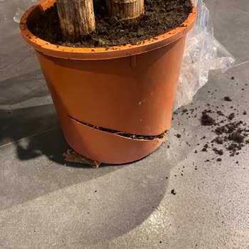 Es Plante Eksik Ürün Gönderimi