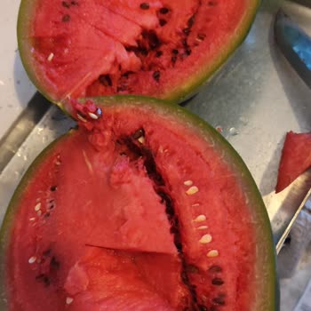 Migros'ta Pahalı Bozuk Karpuz