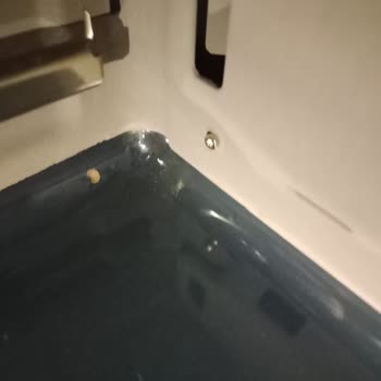 Bosch Termoteknoloji 3 Aylık Fırında Çatlak